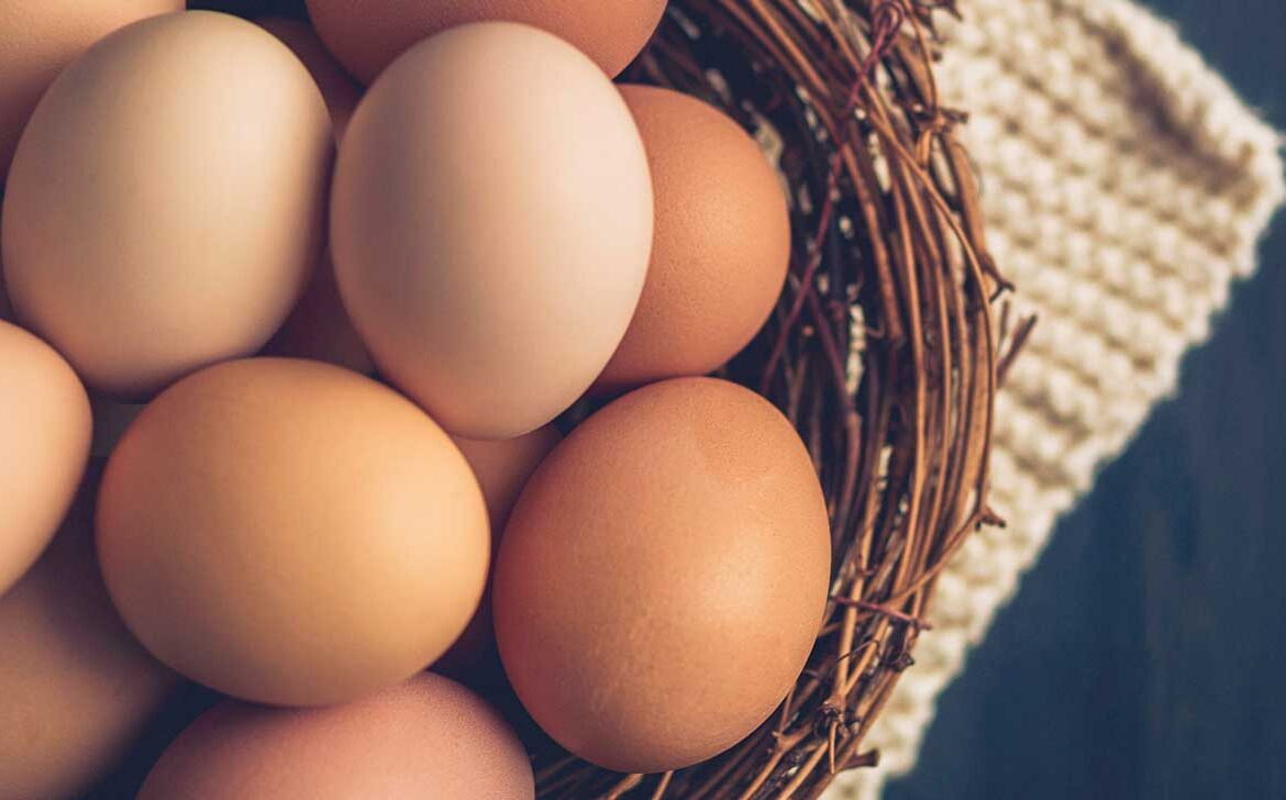 Egg Prices in Major Pakistani Cities Hit Alarming Highs