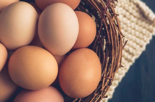 Egg Prices in Major Pakistani Cities Hit Alarming Highs
