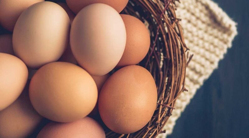 Egg Prices in Major Pakistani Cities Hit Alarming Highs