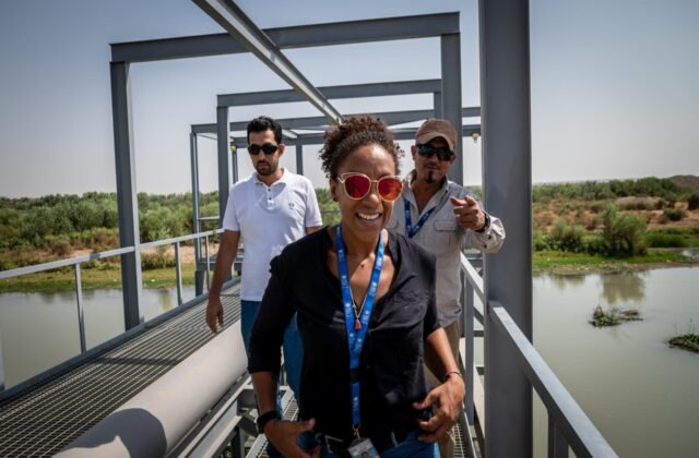 UNDP Hiring (November 2023): Available Positions/Jobs