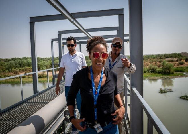 UNDP Hiring (November 2023): Available Positions/Jobs