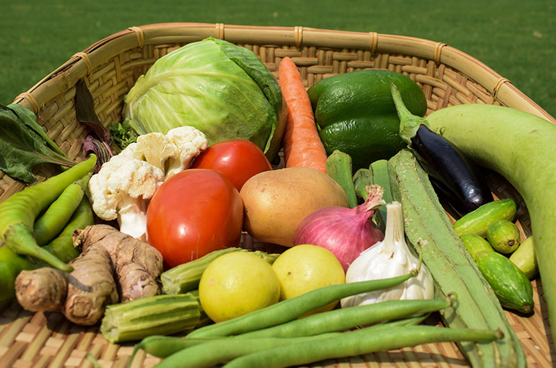 Rich Pakistan-Based Vegetables In Winter for Optimal Health