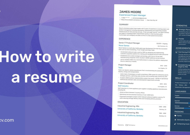 Crafting the Perfect CV: How to create a good CV?