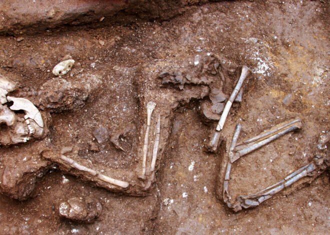 Human skeleton found in a house in Karachi