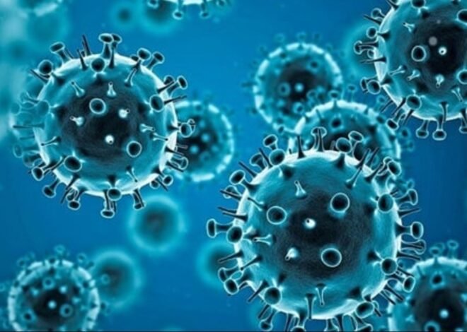 India high on alert as new COVID variant spreads rapidly across country