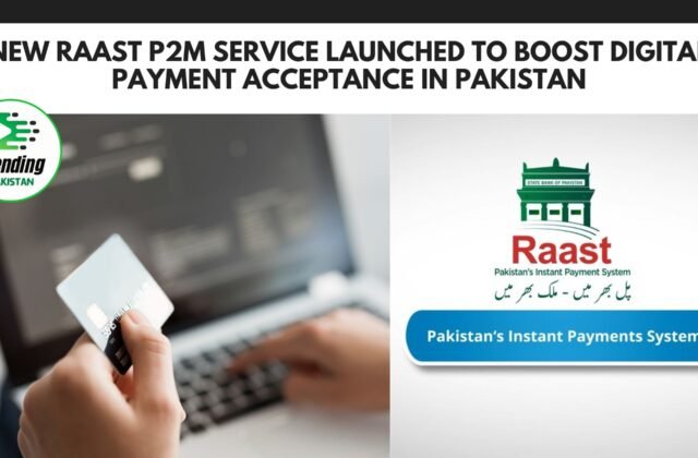 Raast P2M Service