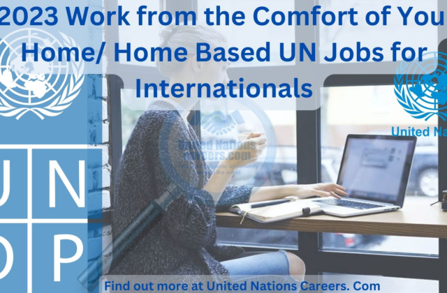 Career Opportunities with the United Nations: Remote Jobs and Paid Internships