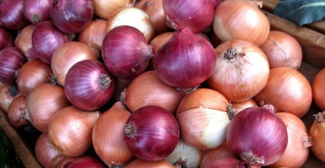 Onion prices further hike in Pakistan