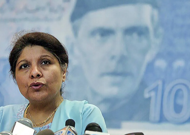 Pakistan’s SMEs Get a Boost with First-Ever Credit Guarantee Company