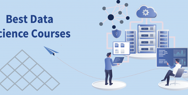 Data Science Fundamentals:  Free Course 2024