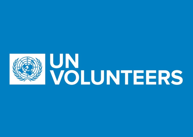 UN Volunteers Opportunities (January 2024) : Paid Program