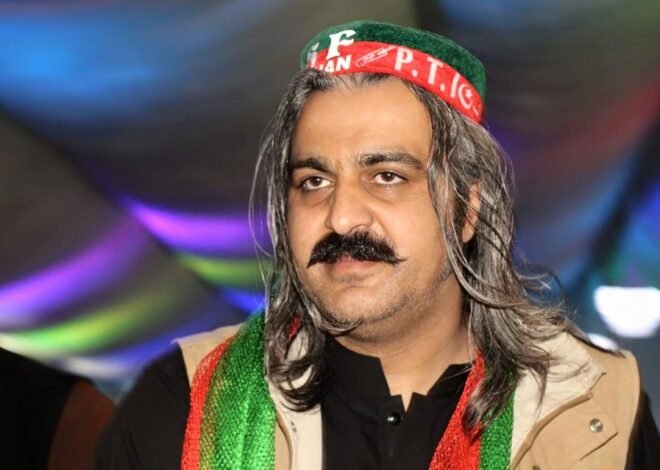 Elections 2024: PTI-Backed Gandapur Wins PK-113