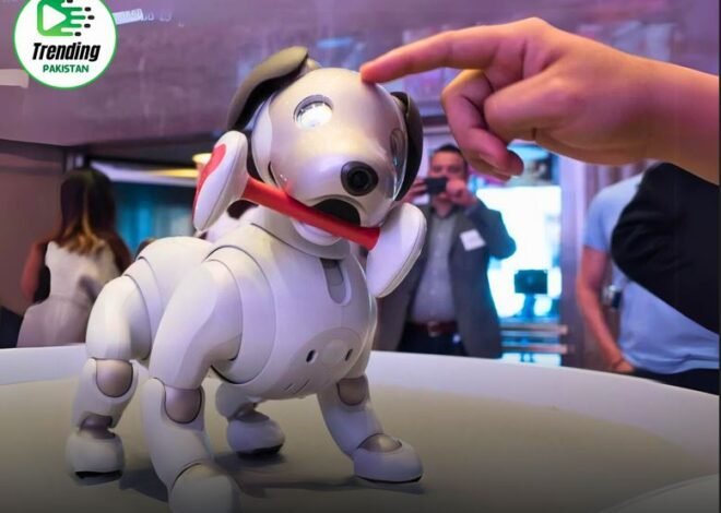 Sony’s AI-Powered Robotic Puppy ‘Aibo’ that Grows with Your Family