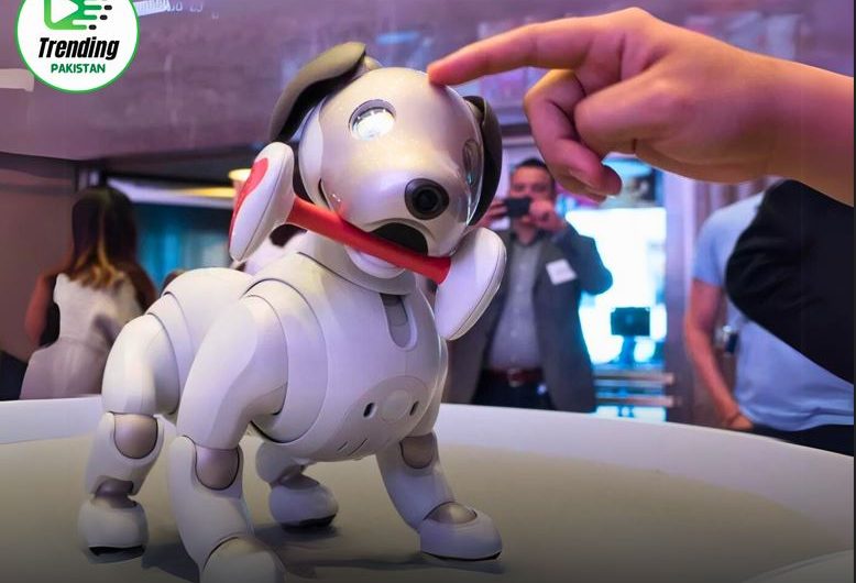 Sony’s AI-Powered Robotic Puppy ‘Aibo’ that Grows with Your Family