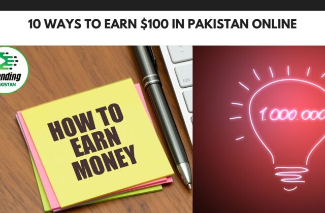 10 Ways to Earn $100 in Pakistan Online