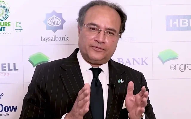 Who will be Pakistan's next finance minister?