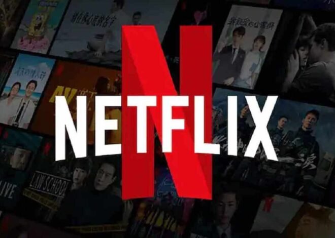 Dive into the World of Pakistani Cinema: Top Movies to Watch on Netflix (2024)