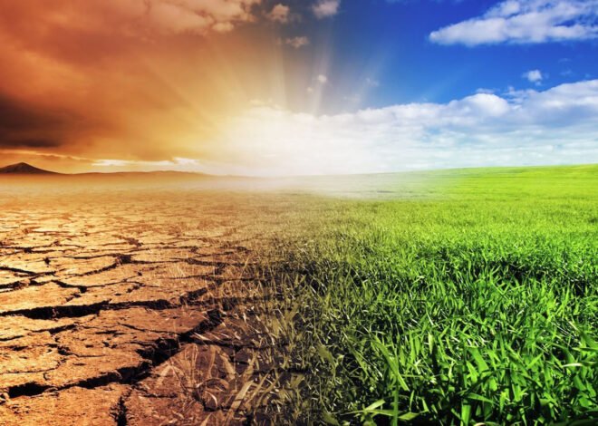 How many billions did Pakistan lose per year due to climate change?