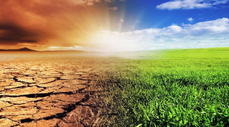 How many billions did Pakistan lose per year due to climate change?