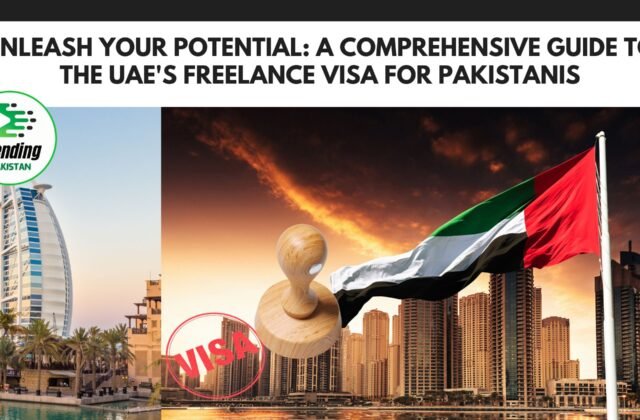 Unleash Your Potential: A Comprehensive Guide to the UAE's Freelance Visa for Pakistanis
