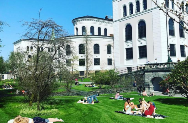Pursue Your Research Dreams: University of Bergen Offers 21 Fully Funded PhD Positions