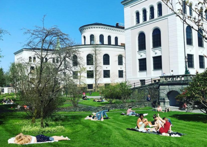 Pursue Your Research Dreams: University of Bergen Offers 21 Fully Funded PhD Positions