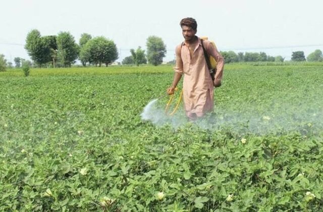 Farmers announce nationwide protest if ex-Prime Minister is not arrested