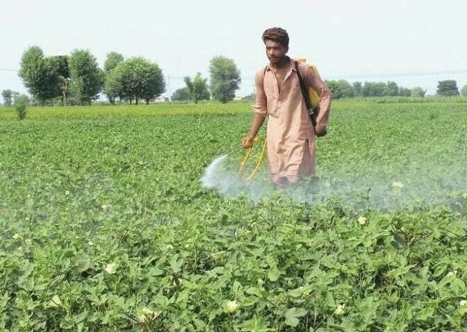 Farmers announce nationwide protest if ex-Prime Minister is not arrested