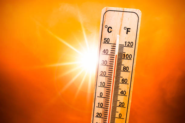 Did you know? Summer 2023 was the hottest in 2000 years