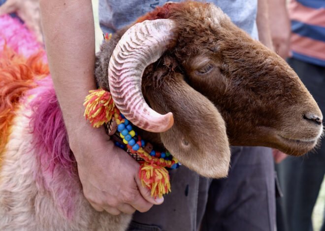 When Eid-ul-Adha 2025 will be celebrated in Pakistan?