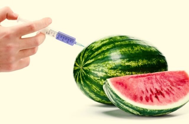 YouTuber in Hot Water for Viral Watermelon Injection Video