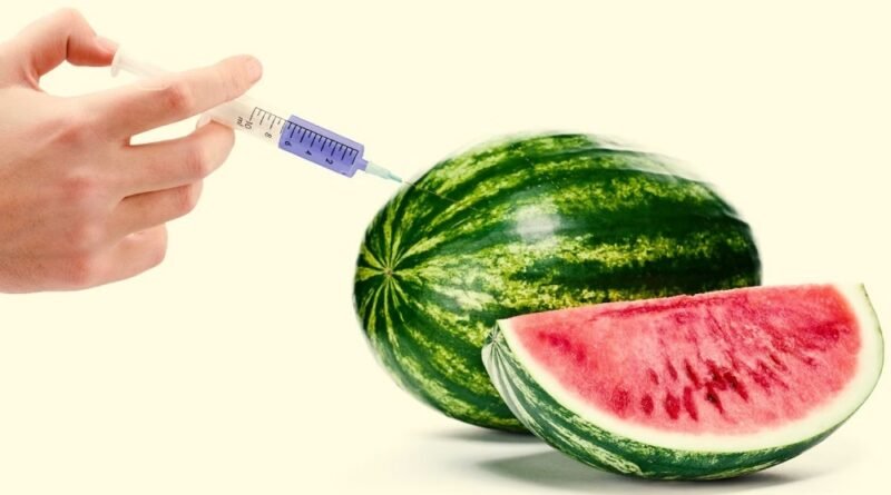 YouTuber in Hot Water for Viral Watermelon Injection Video