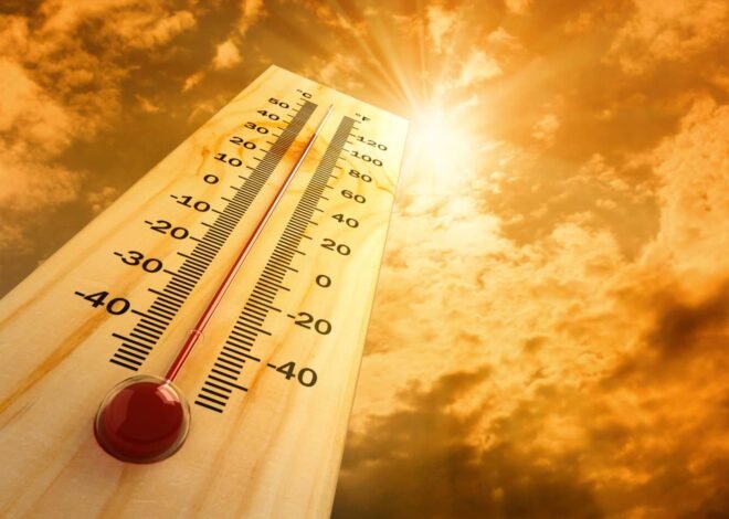 Temperature likely to cross 50 degrees Celsius in Punjab