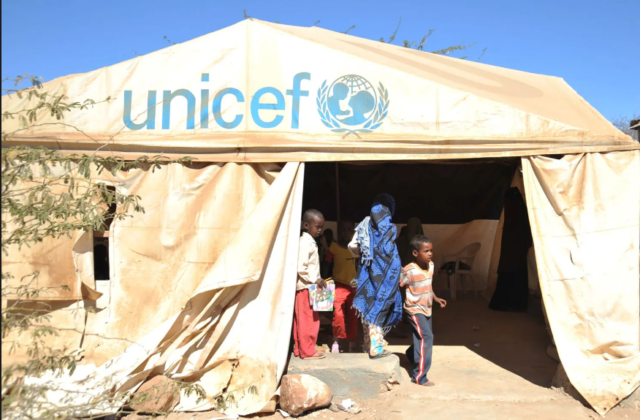 UNICEF Recruitment (June 2024): Open Jobs and Application Process