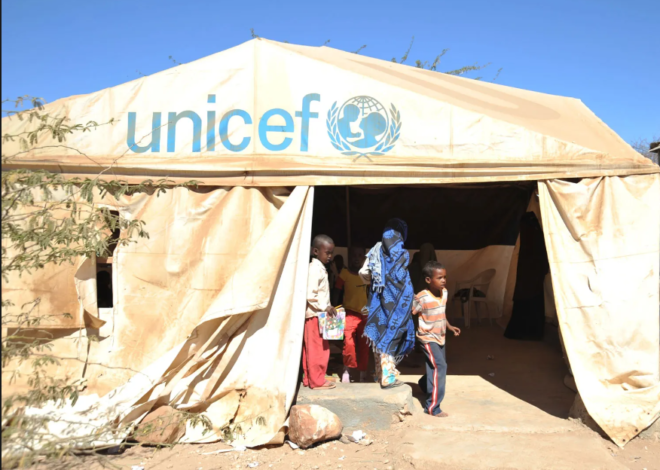 UNICEF Recruitment (June 2024): Open Jobs and Application Process