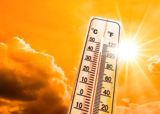Unprecedented Heatwave: July 2024 Records Hottest Day Ever Globally