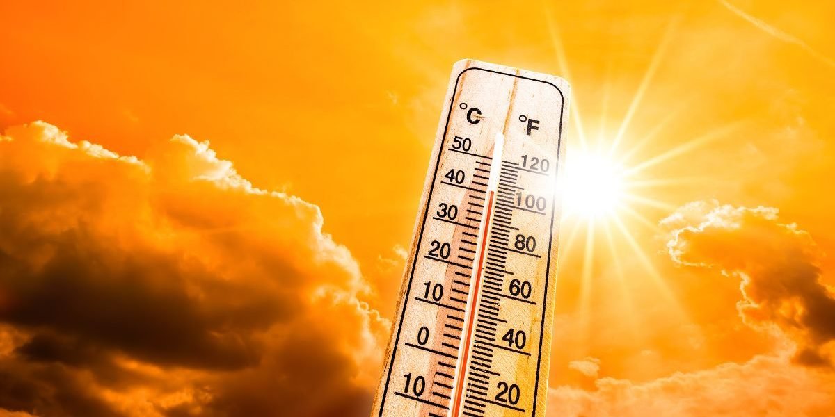 Unprecedented Heatwave: July 2024 Records Hottest Day Ever Globally