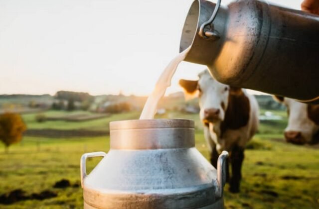 Hyderabad Milk Prices