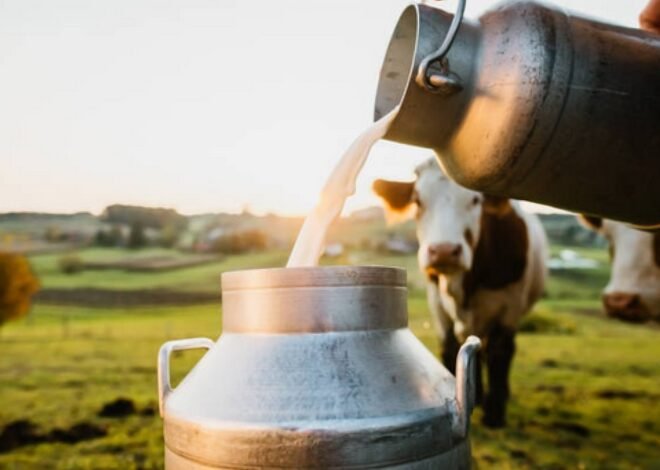 Hyderabad Milk Prices Increased by Rs 15 per Litre in July