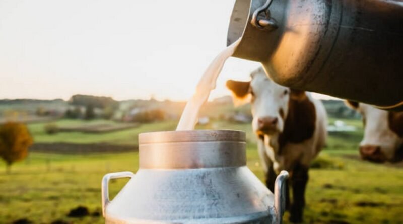 Hyderabad Milk Prices
