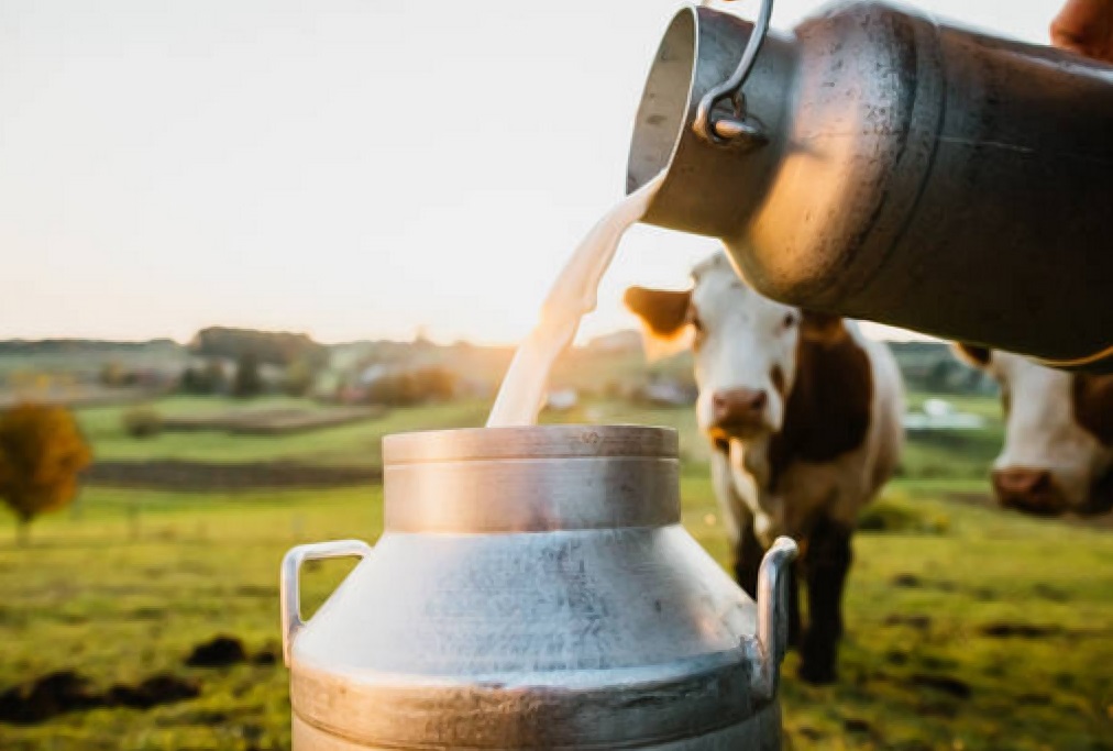 Hyderabad Milk Prices