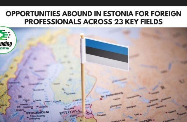 Opportunities Abound in Estonia for Foreign Professionals Across 23 Key Fields