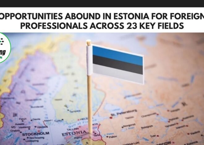 Opportunities Abound in Estonia for Foreign Professionals Across 23 Key Fields