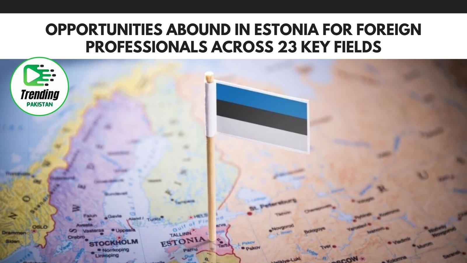 Opportunities Abound in Estonia for Foreign Professionals Across 23 Key Fields