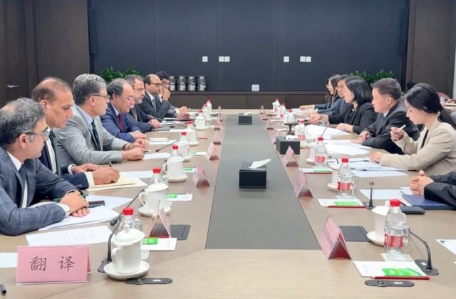 Pakistan’s Economic Reforms and Energy Initiatives: 2024 Meetings with Chinese Officials