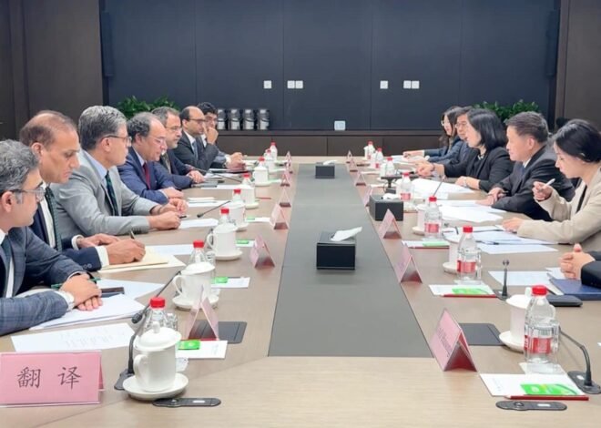 Pakistan’s Economic Reforms and Energy Initiatives: 2024 Meetings with Chinese Officials