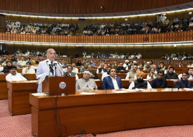 Revealing the Earnings of National Assembly Members