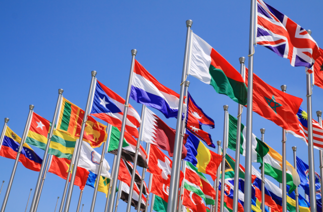 A Guide to Applying for the Commonwealth Professional Fellowship 2025