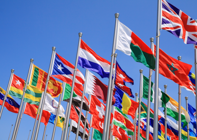 A Guide to Applying for the Commonwealth Professional Fellowship 2025