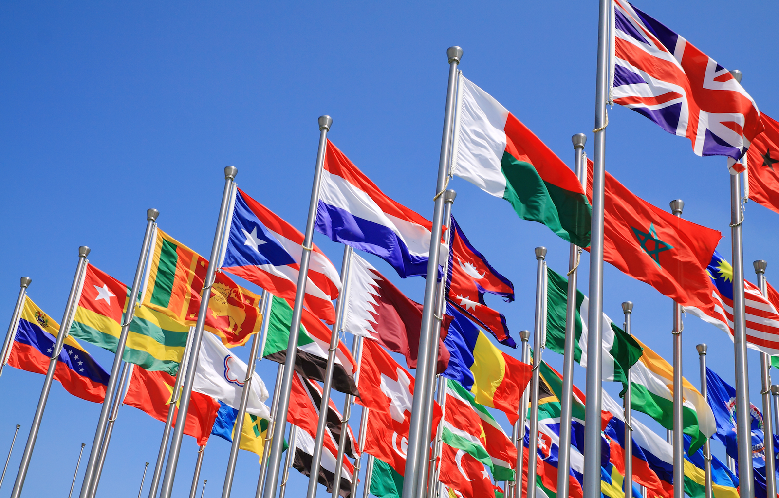 A Guide to Applying for the Commonwealth Professional Fellowship 2025